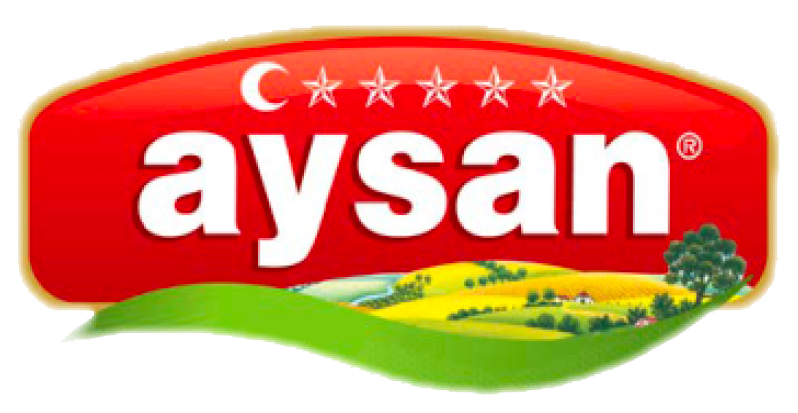 Aysan
